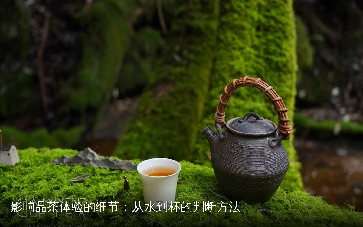 影响品茶体验的细节：从水到杯的判断方法